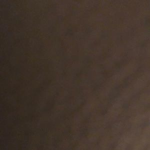 Meet your Posher, Dave